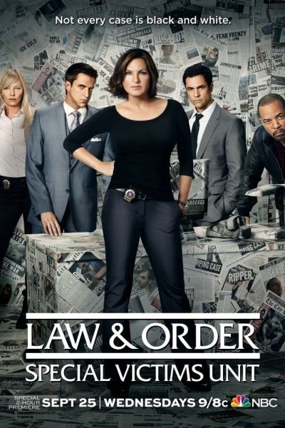 Сериал Закон и порядок. Специальный корпус 1-27 сезон