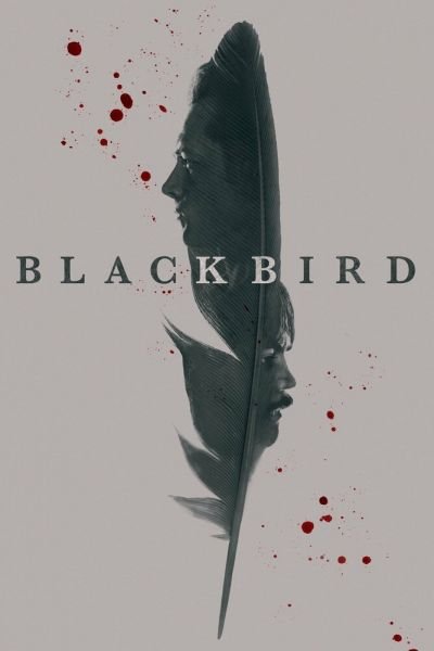 Сериал Чёрная птица 1 сезон онлайн
