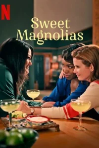 Сериал Милые магнолии 1-5 сезон онлайн